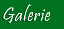 Galerie